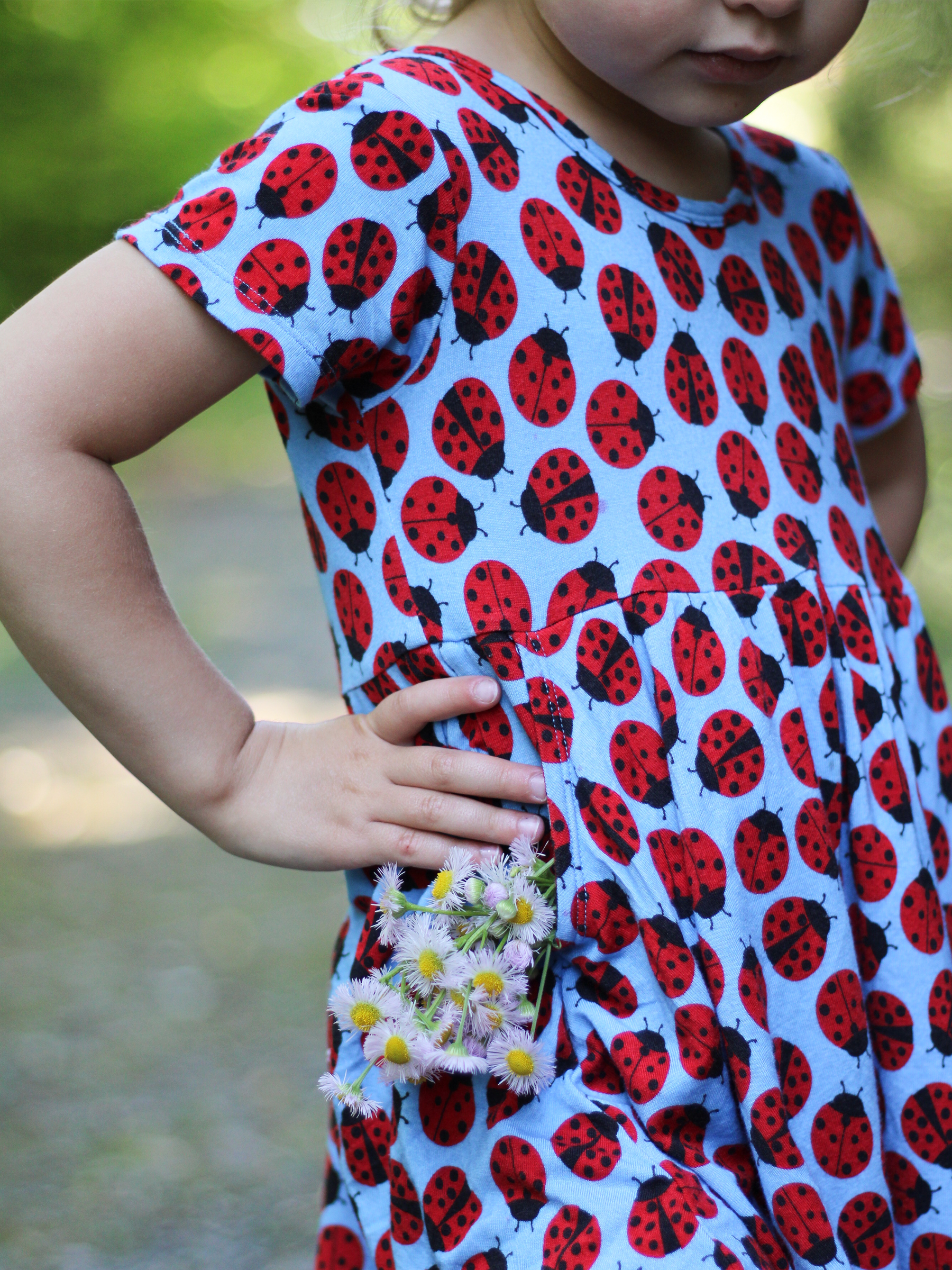 Ladybugs Adventure Dress and Shorts Set