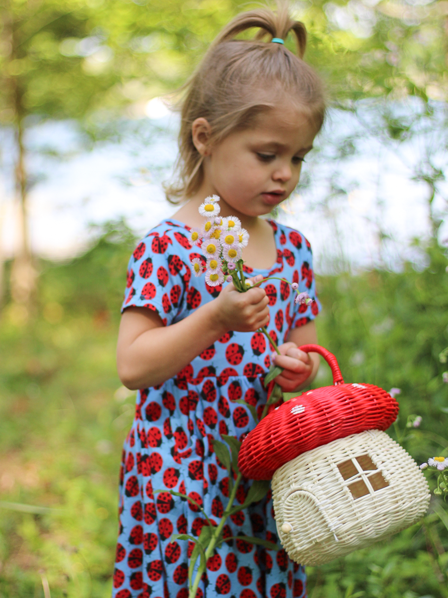 Ladybugs Adventure Dress and Shorts Set