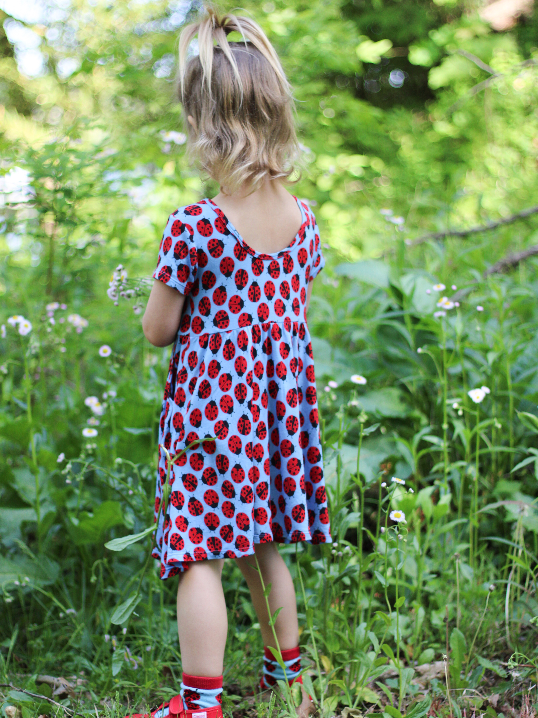Ladybugs Adventure Dress and Shorts Set