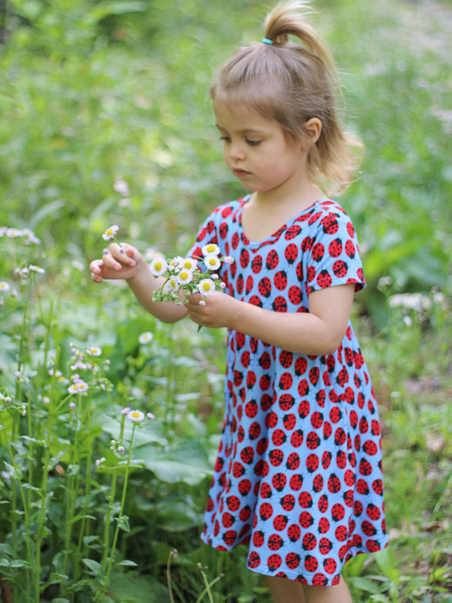Ladybugs Adventure Dress and Shorts Set