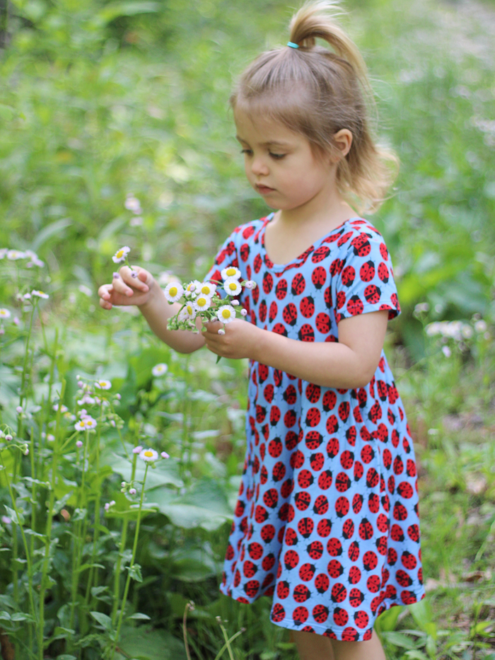Ladybugs Adventure Dress and Shorts Set