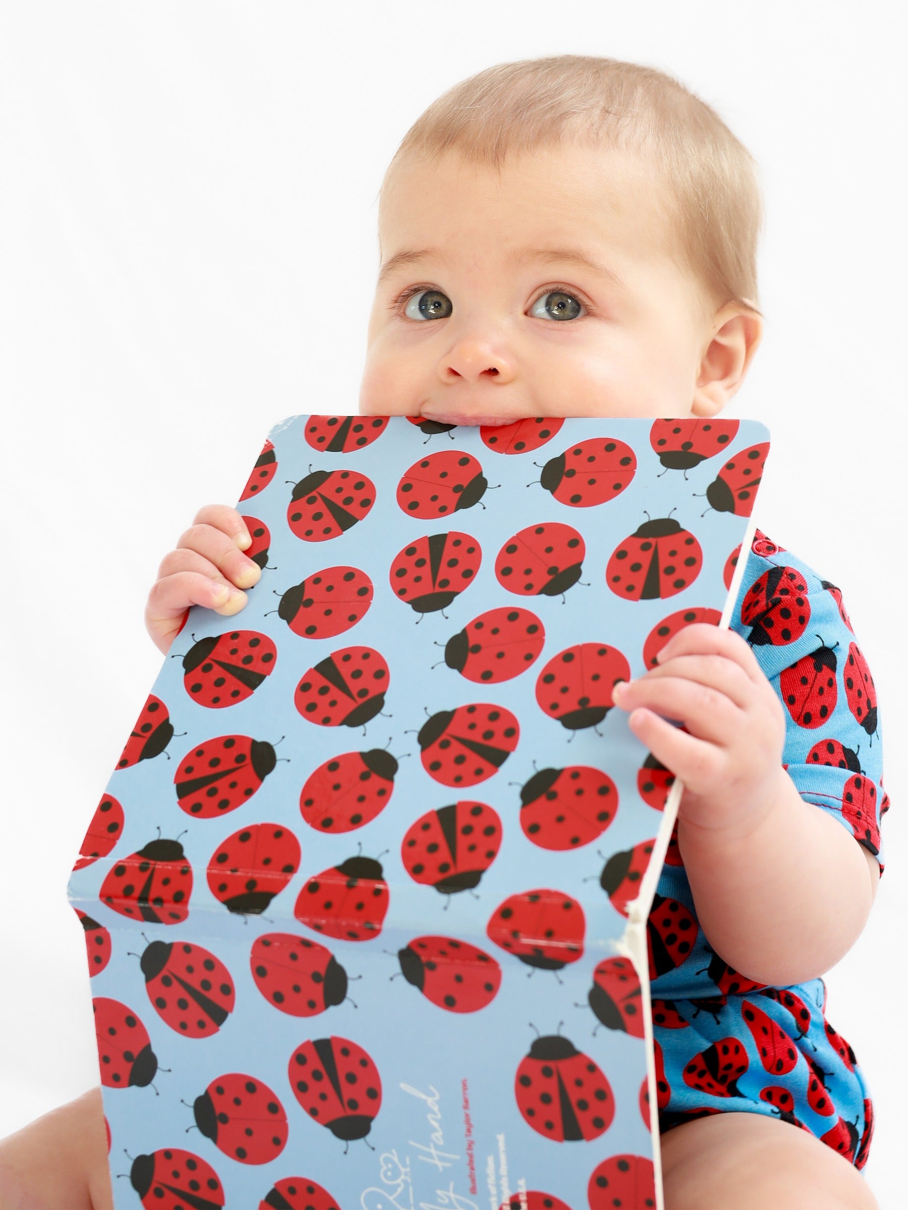 Story Time Set - Ladybugs Baby Dress and Book Set